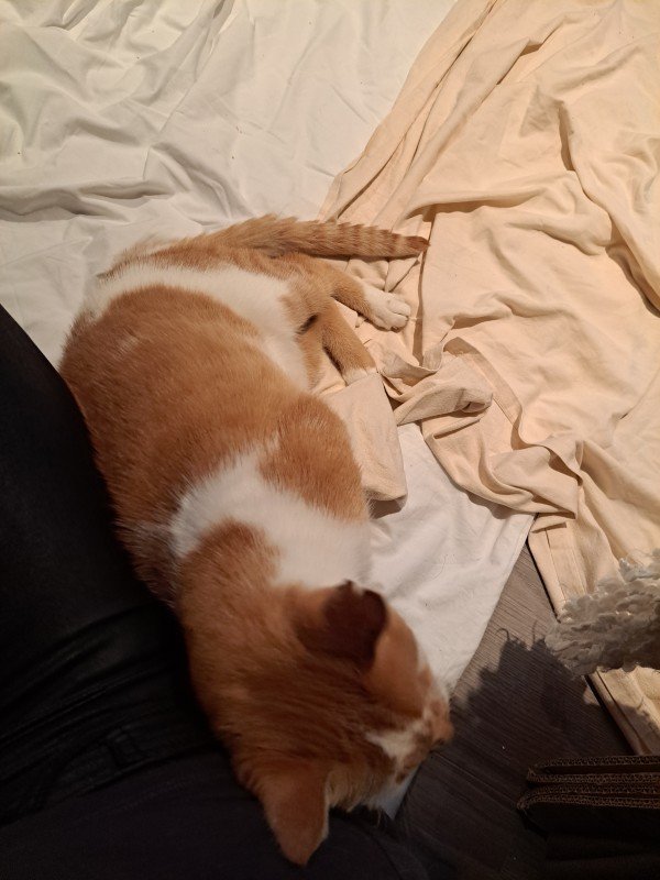 Zoë
