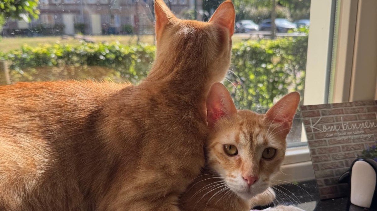 Milo