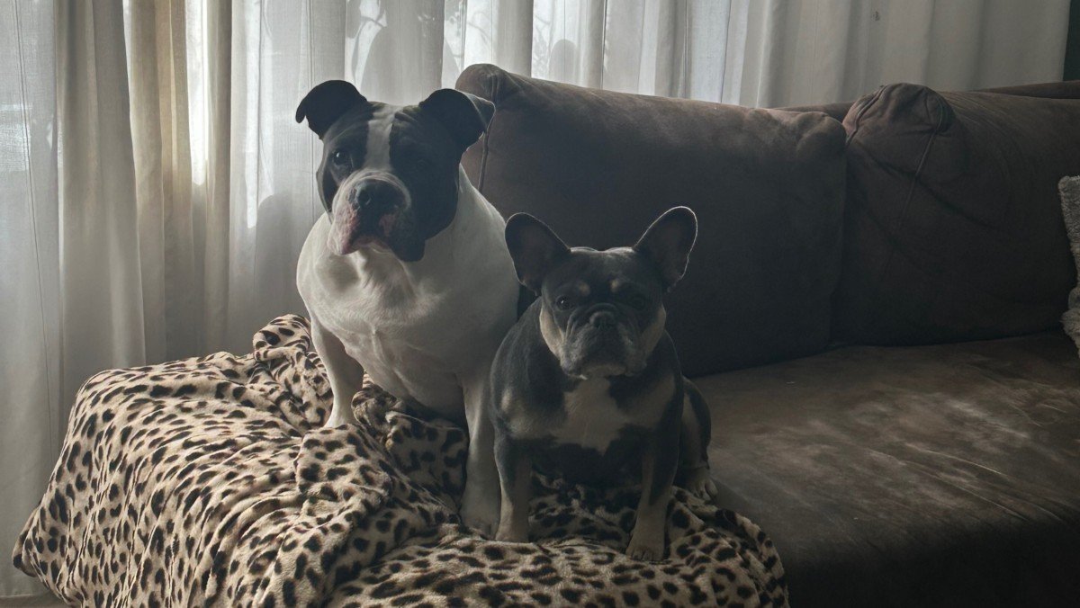 Diesel + Saar