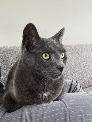 George