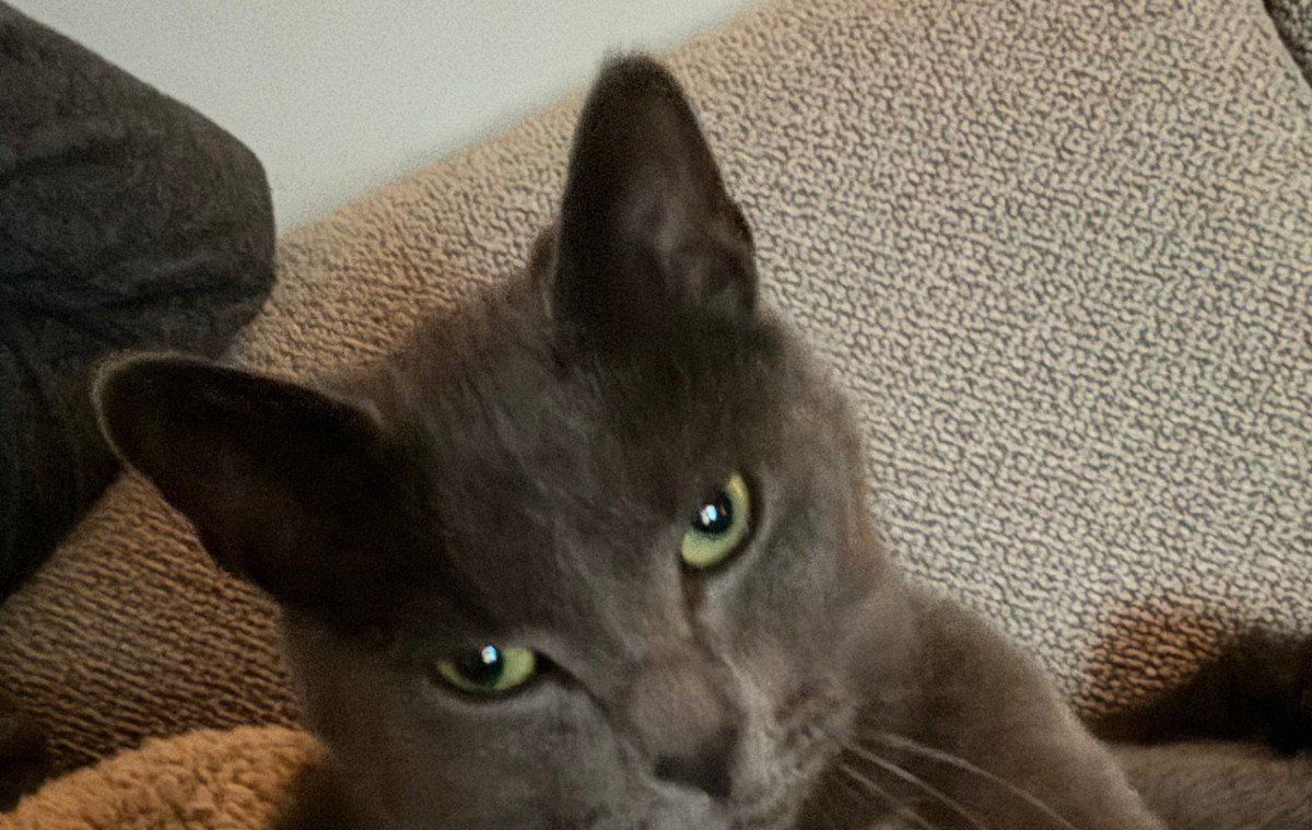 George