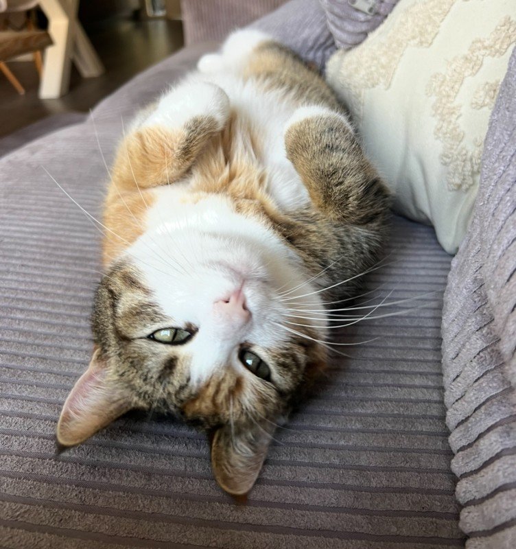 Fiona