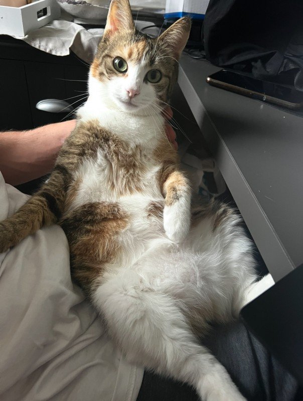 Fiona