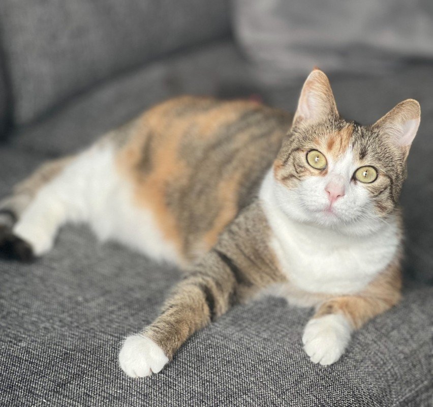 Fiona