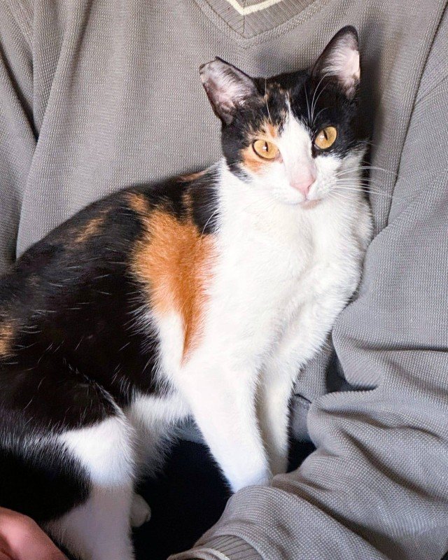 Matilda