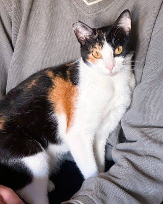 Matilda