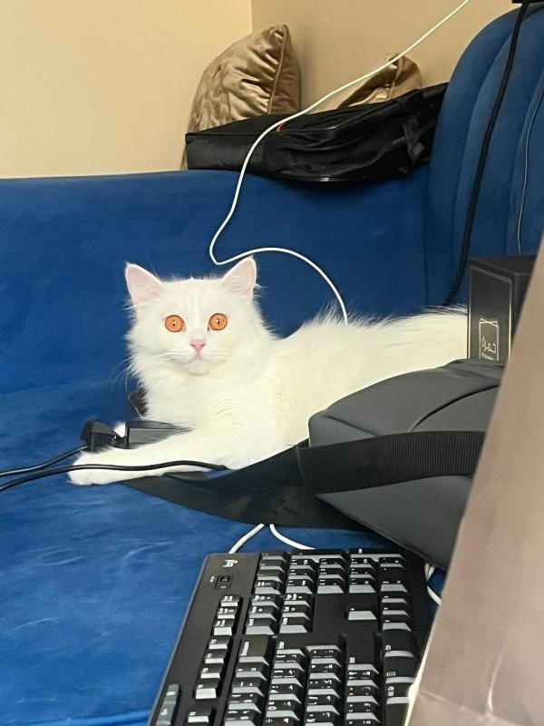 Luna