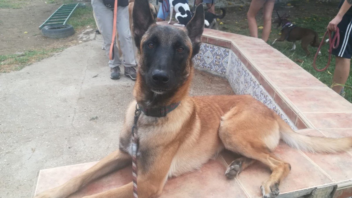 Narco