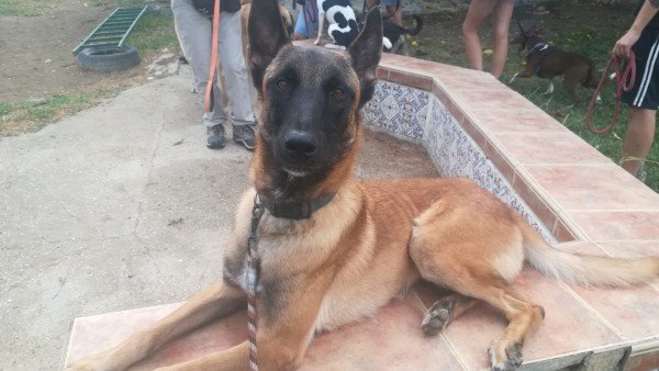 Narco