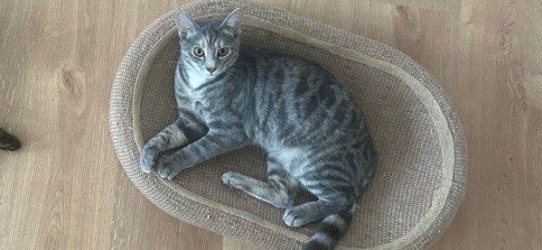 Luna