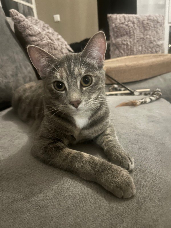 Luna