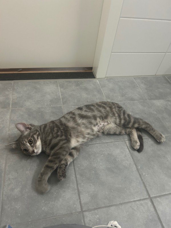Luna