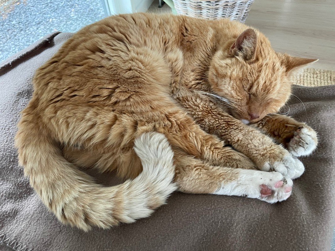 Mika