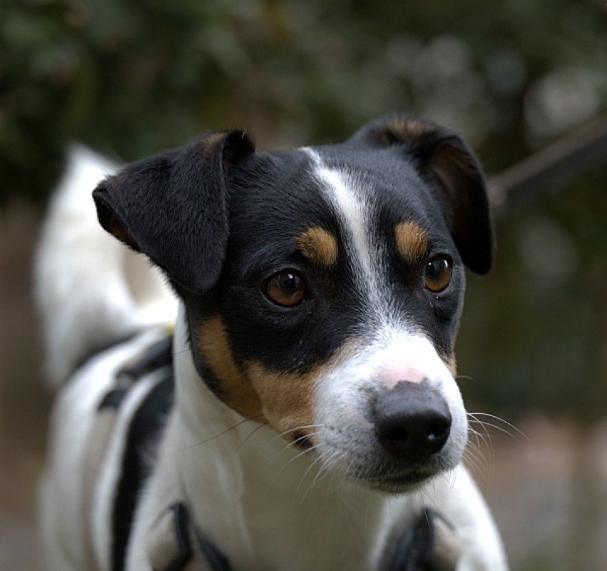 Sam