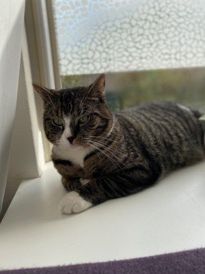 Olaf
