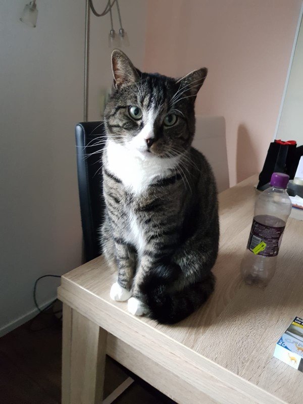 Olaf