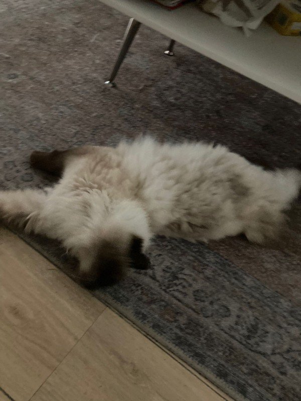 Charlie