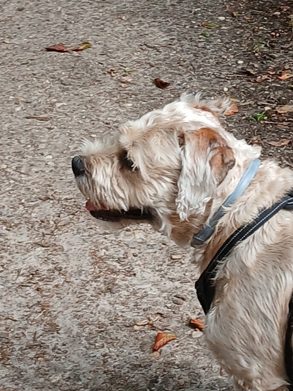 Pablo