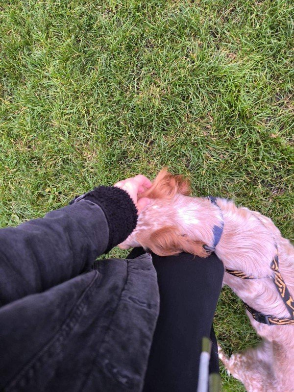 Peanut