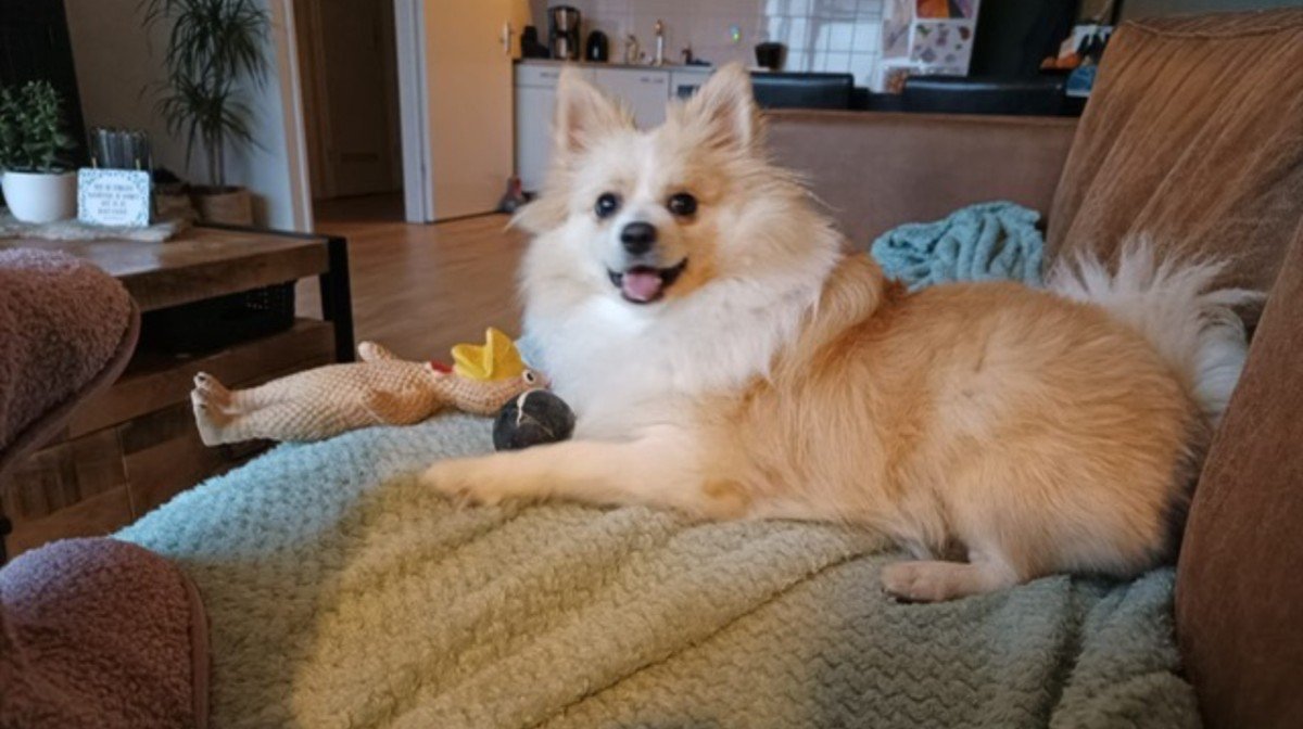 Bella