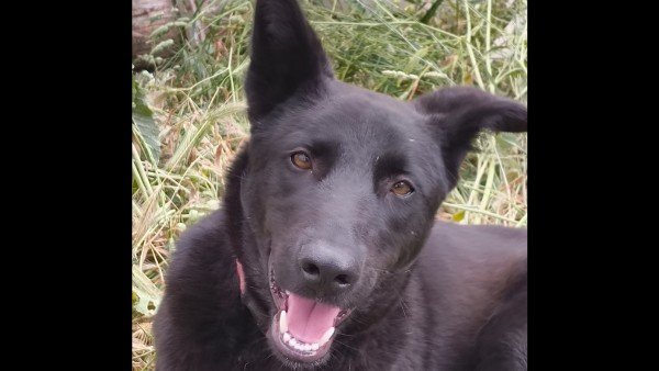 Max