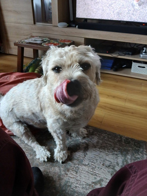 Pablo