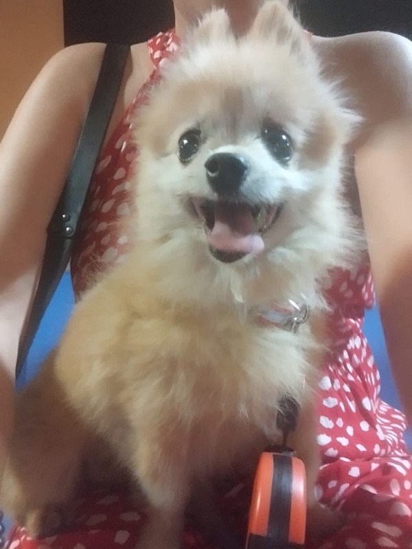 Zeus