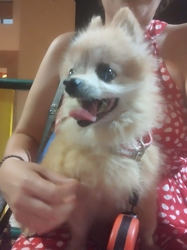 Zeus