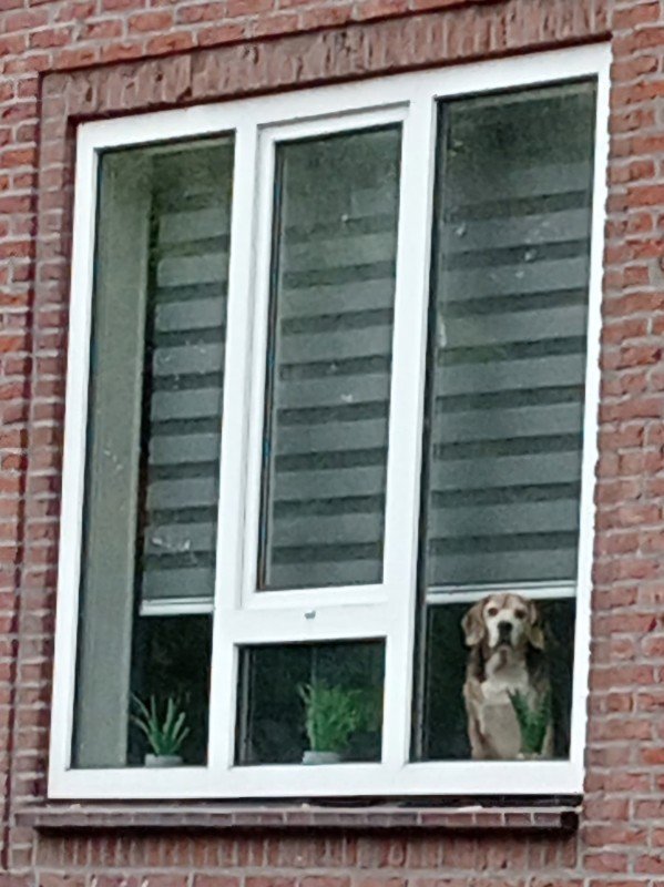 Spike