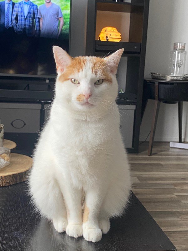Milo