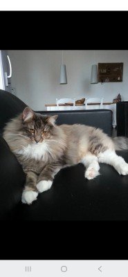 Kyra