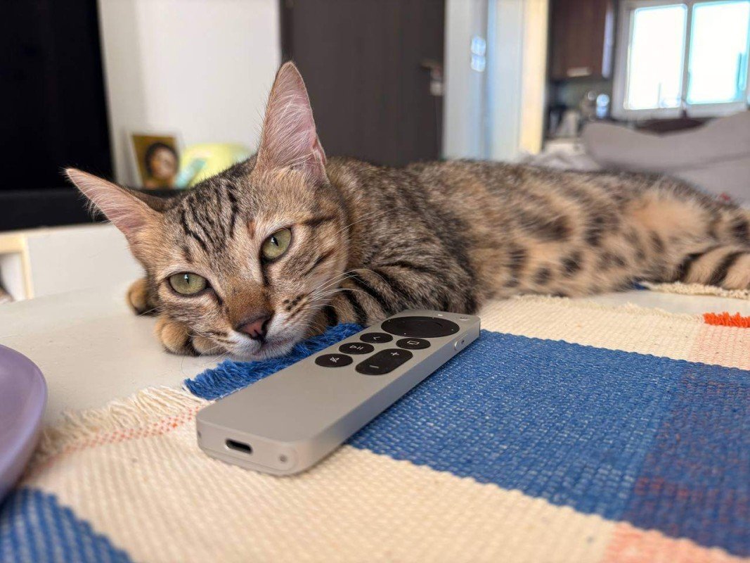 Heidi