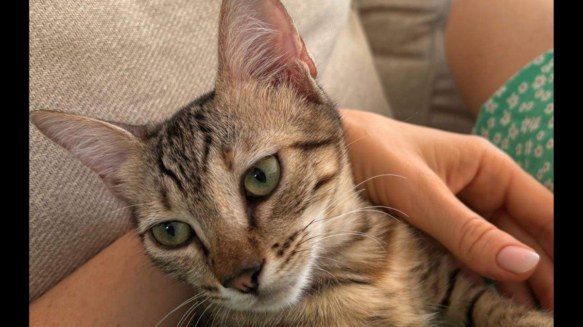 Heidi