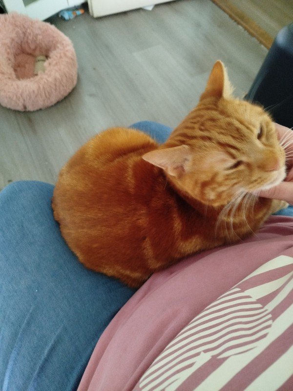 Dikkie
