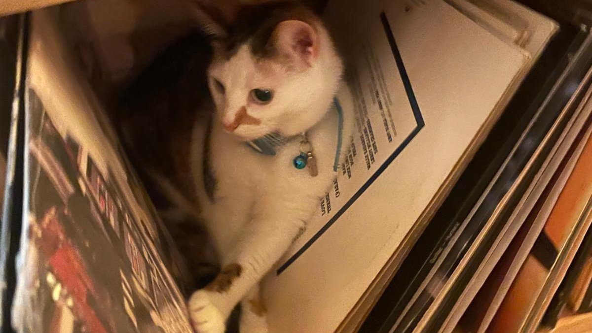 Mia