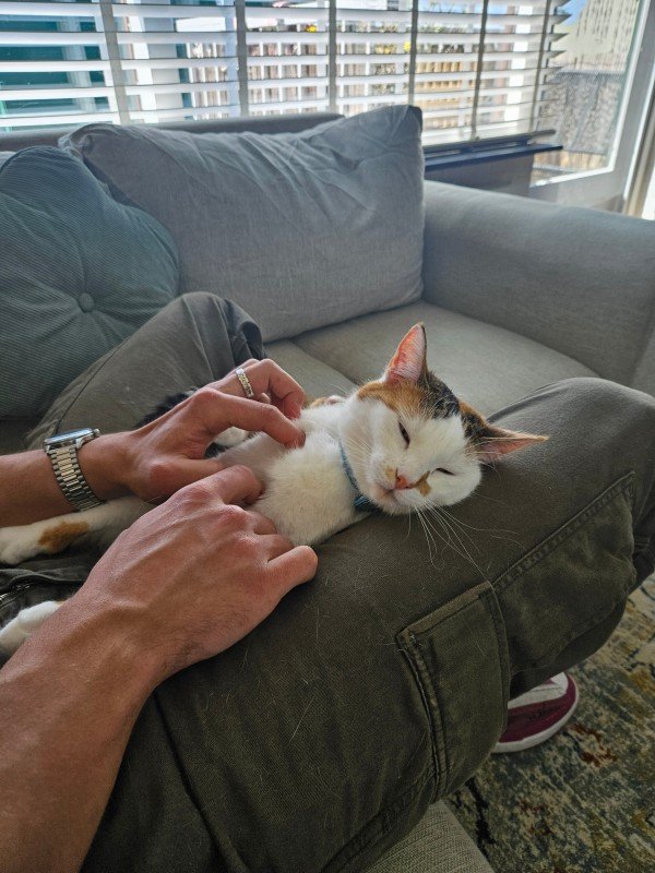 Mia