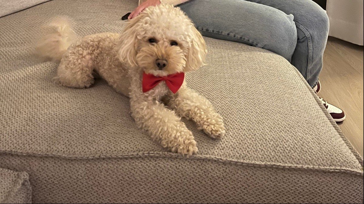 Olly