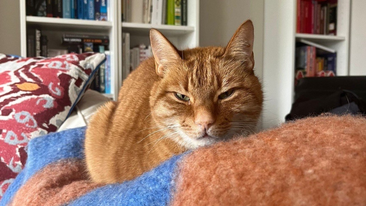 Rossi