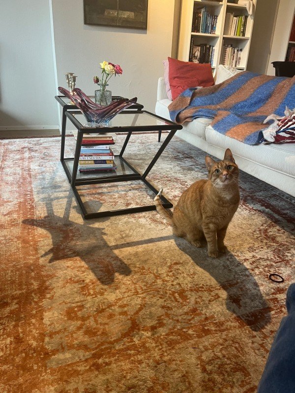 Rossi