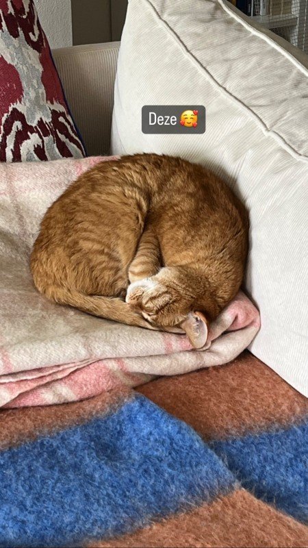 Rossi