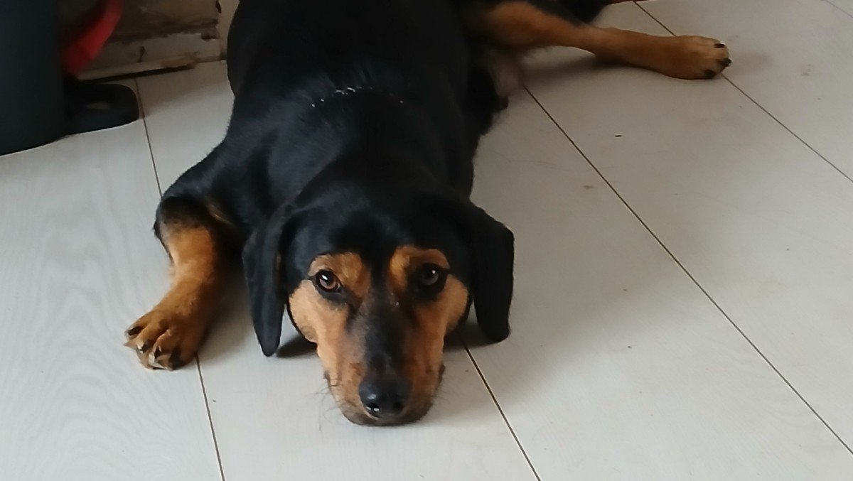 Berina