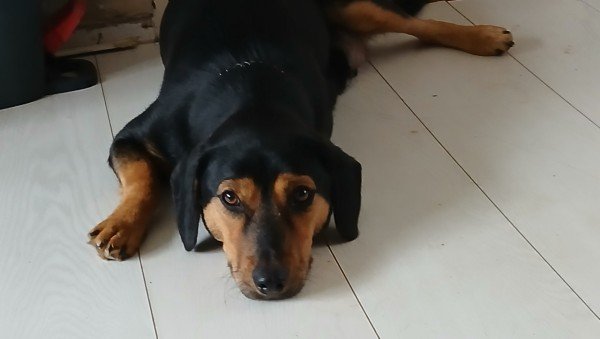Berina