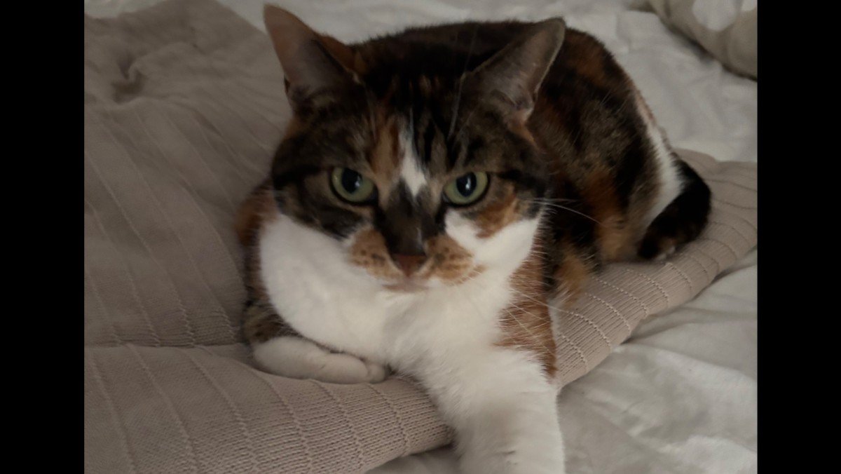 Bella
