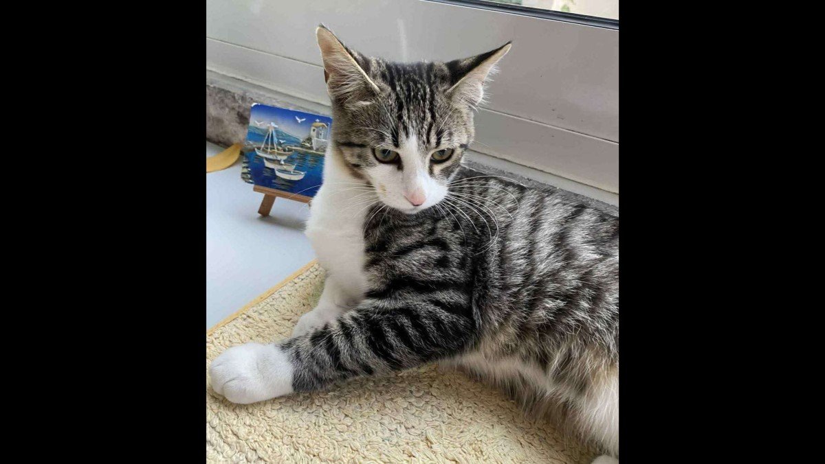 Tom