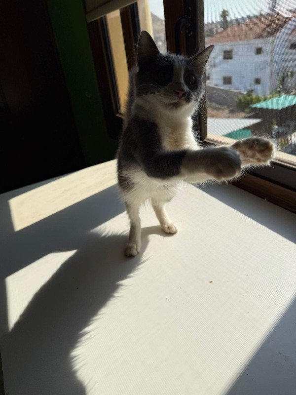 Tihiro