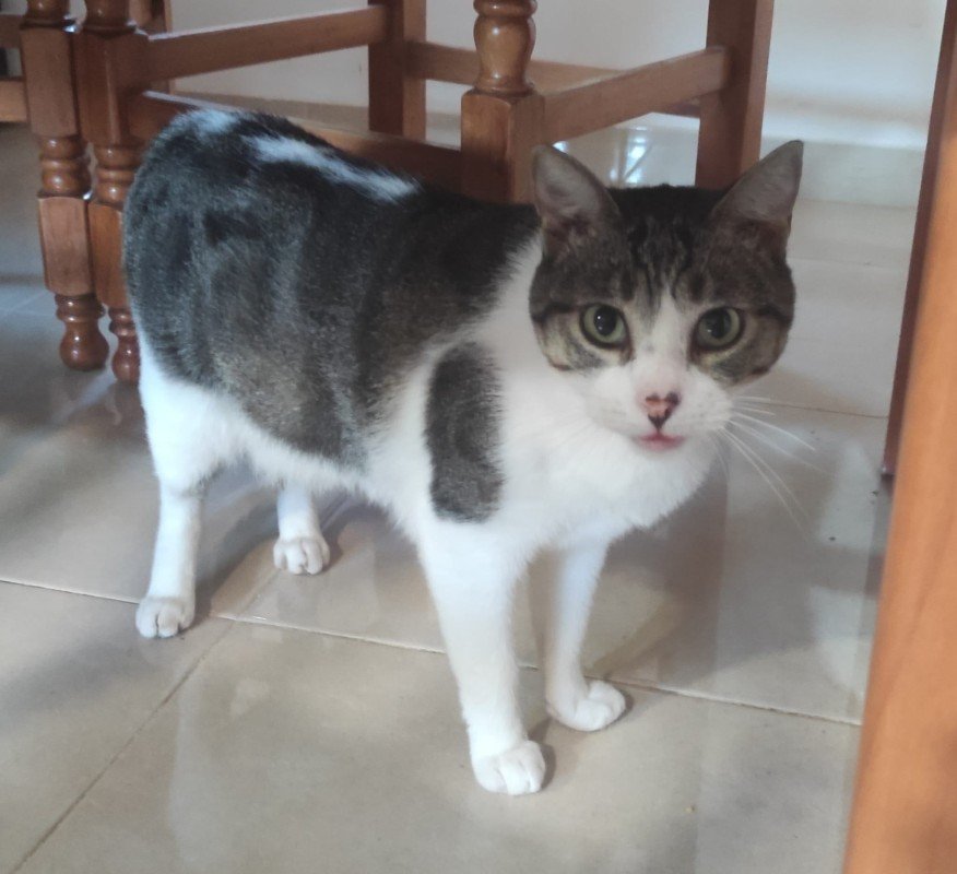 Diego