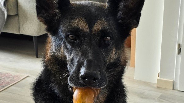 Pip
