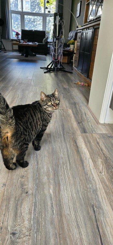 Zoe