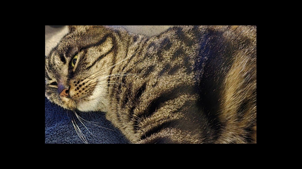 Zoe