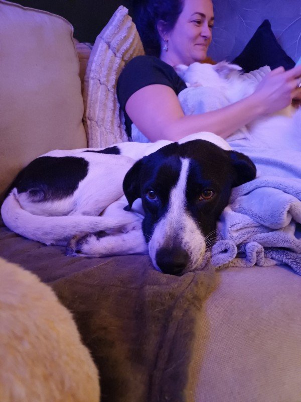 Bella
